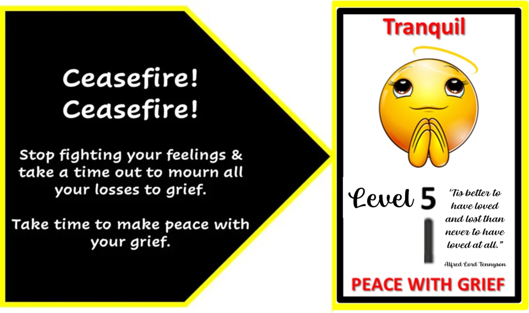 Level 5 Make Peace with your Grief