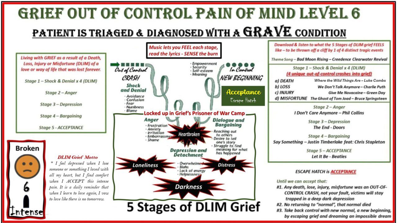 5 Stages of DLIM Grief