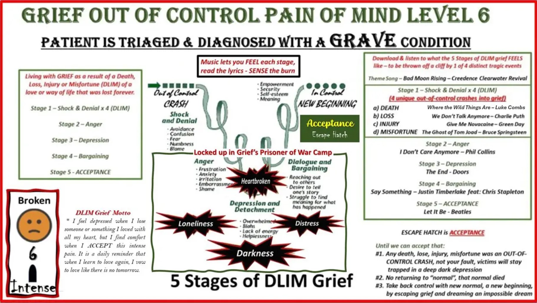 Level 6 - 5 Stages of DLIM Grief